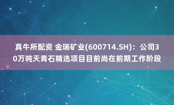 真牛所配资 金瑞矿业(600714.SH)：公司30万吨天青石精选项目目前尚在前期工作阶段