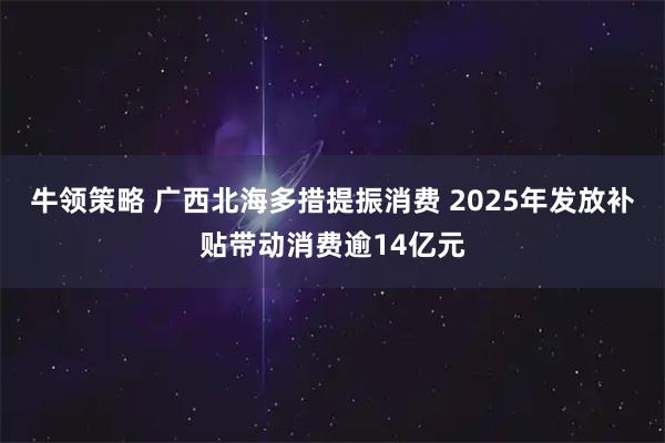 牛领策略 广西北海多措提振消费 2025年发放补贴带动消费逾14亿元