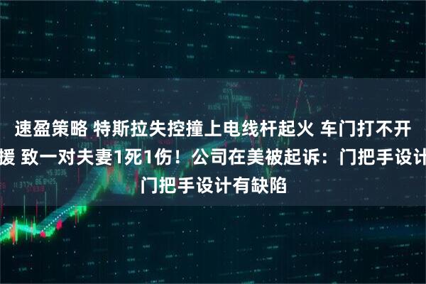 速盈策略 特斯拉失控撞上电线杆起火 车门打不开阻碍救援 致一对夫妻1死1伤！公司在美被起诉：门把手设计有缺陷
